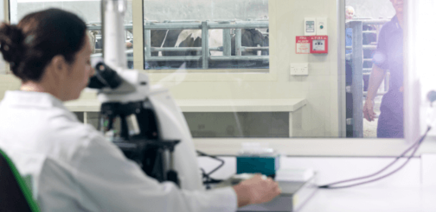 A woman in a lab coat looks into a microscope