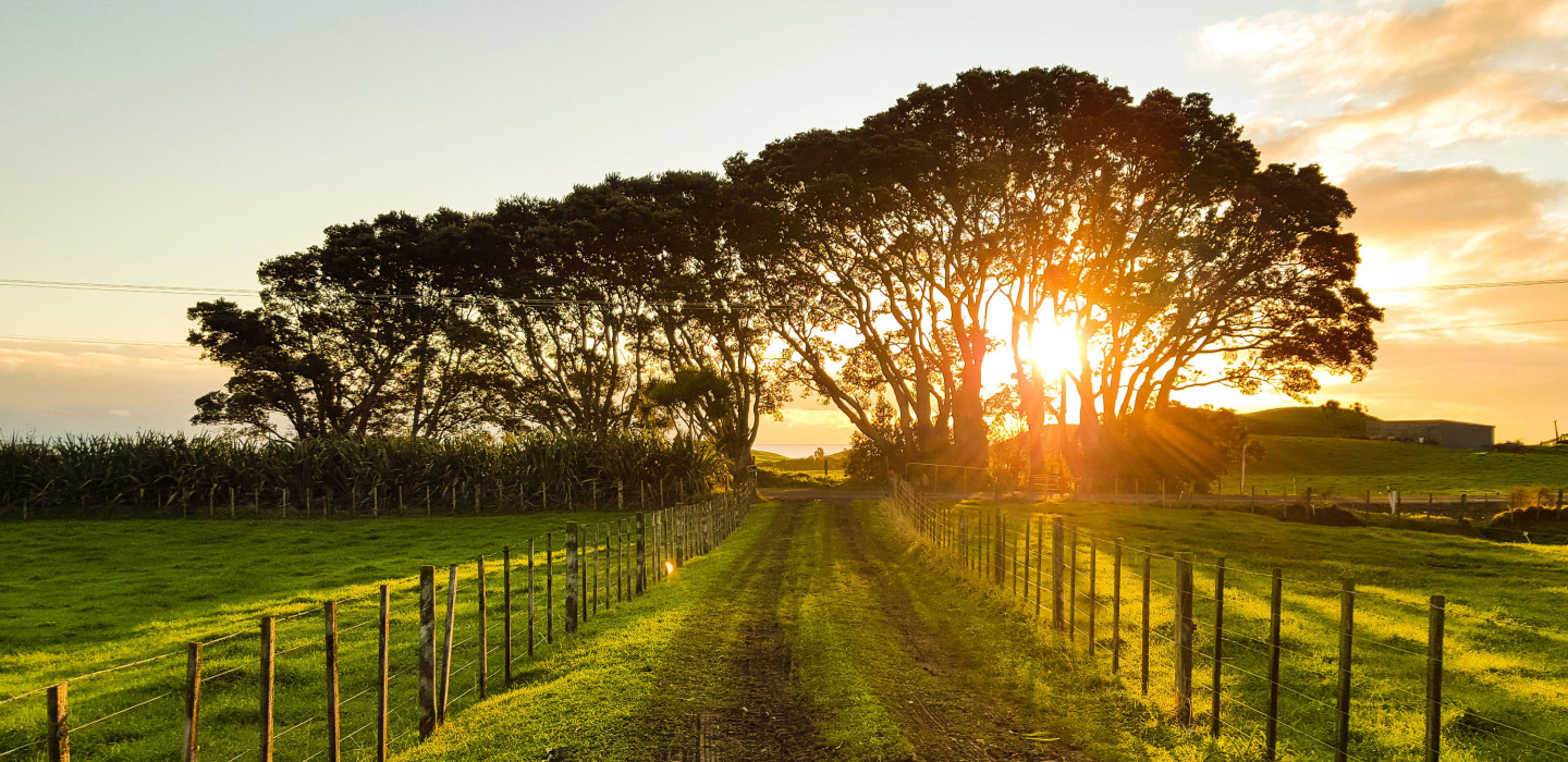 Sunset over a farm property