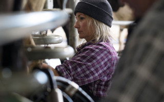 A woman milks cows